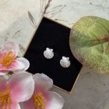 Scallop Shell Studs