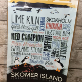 Skomer Island Print