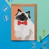 Cat Cards