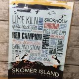 Skomer Island Print