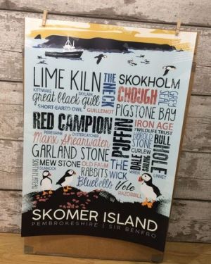 Skomer Island Print