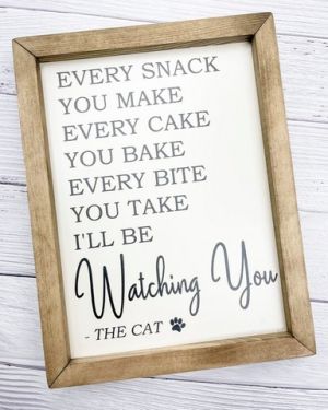 Watching You – The Cat