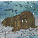 Wally The Walrus