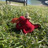 Fire Dragon Felt