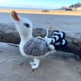 Seagull Felt