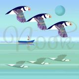 Puffins