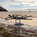 Swimmer Figures