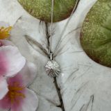 Limpet Shell Necklace