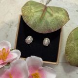 Limpet Shell Studs