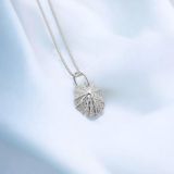 Limpet Shell Necklace