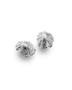 Limpet Shell Studs