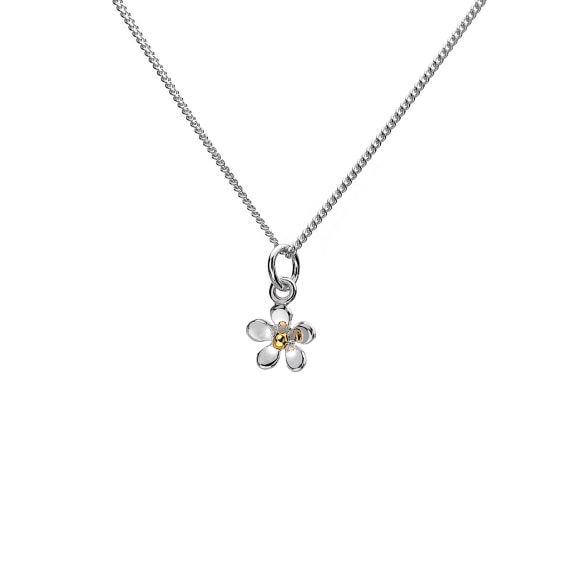 Tiny Daisy Necklace The Nook Tenby