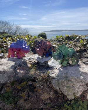 Triceratops