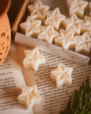 Starry Night Soy Wax Melts