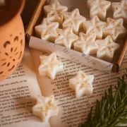 Starry Night Soy Wax Melts