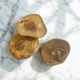 Olive Wood Coaster