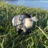 Trevor The Sheep