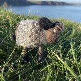 Tina The Sheep