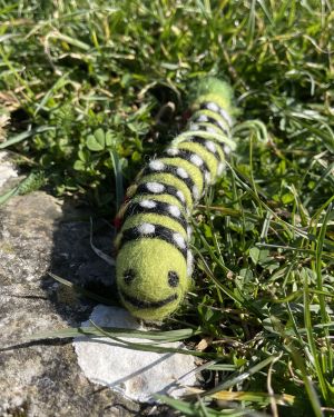Caterpillar Felt
