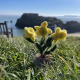Daffodil Pot Felt