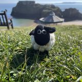 Tessa The Bobbly Sheep