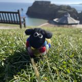 Ziggy The Bobbly Sheep