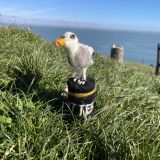 Hangry Seagull Felt