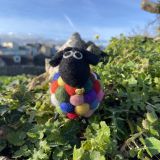 Ziggy The Bobbly Sheep