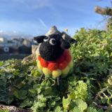 Ricky The Bobbly Sheep