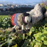 Tim The Sheep