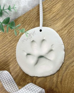 Paw Clay Moulding Kit