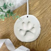 Paw Clay Moulding Kit
