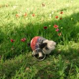 Tracey The Sheep Keyring