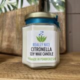Citronella Jar Candle