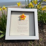 Calon Llan Frame