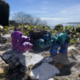 Hippos
