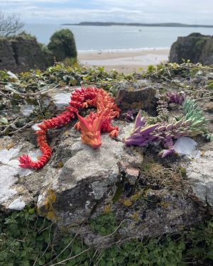 Long Dragons
