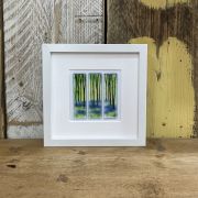 Bluebell Woods Frames