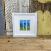 Summer Meadow Frames