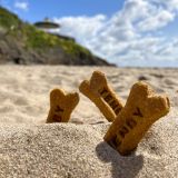 Tenby Dog Treats