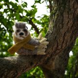 Sloth Keyring