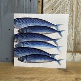 Mackerel Card