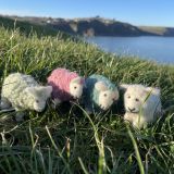 Sheep Felt