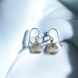Scallop Shell Earrings