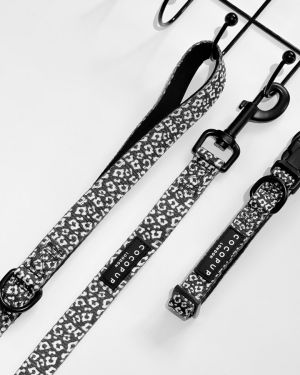 Black Leopard Lead