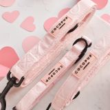 Baby Pink Heart Lead