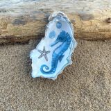 Seahorse Oyster Sea Shell