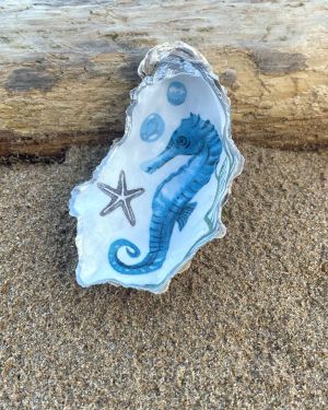 Seahorse Oyster Sea Shell