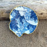 Waves Scallop Sea Shell
