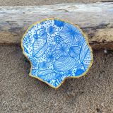 Blue Shells Scallop Sea Shell